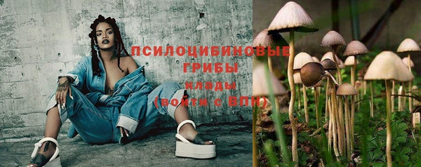 прущие крисы Алзамай