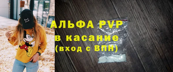 шишки Приозерск