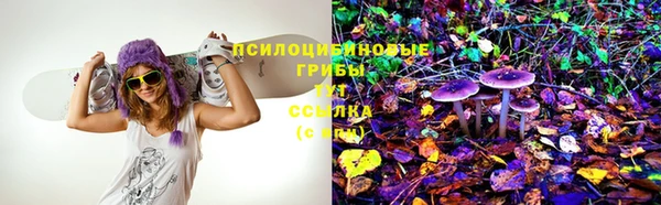 крисы Рославль