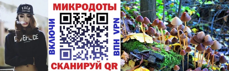 Псилоцибиновые грибы Magic Shrooms  Заинск 
